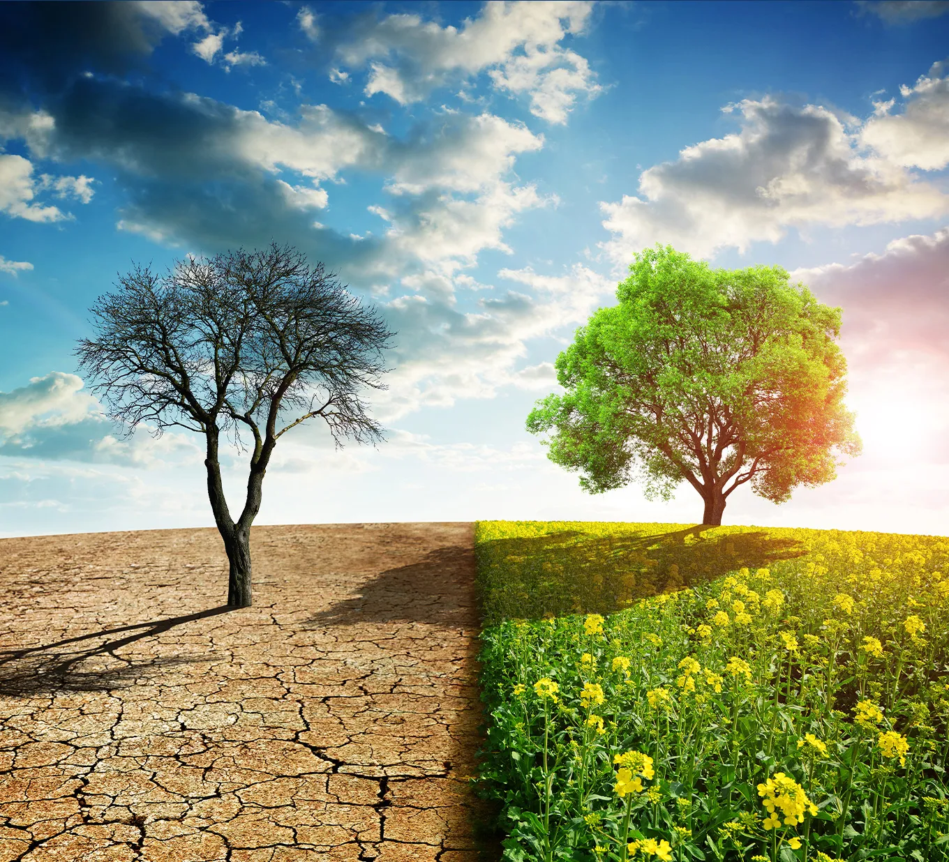climate change